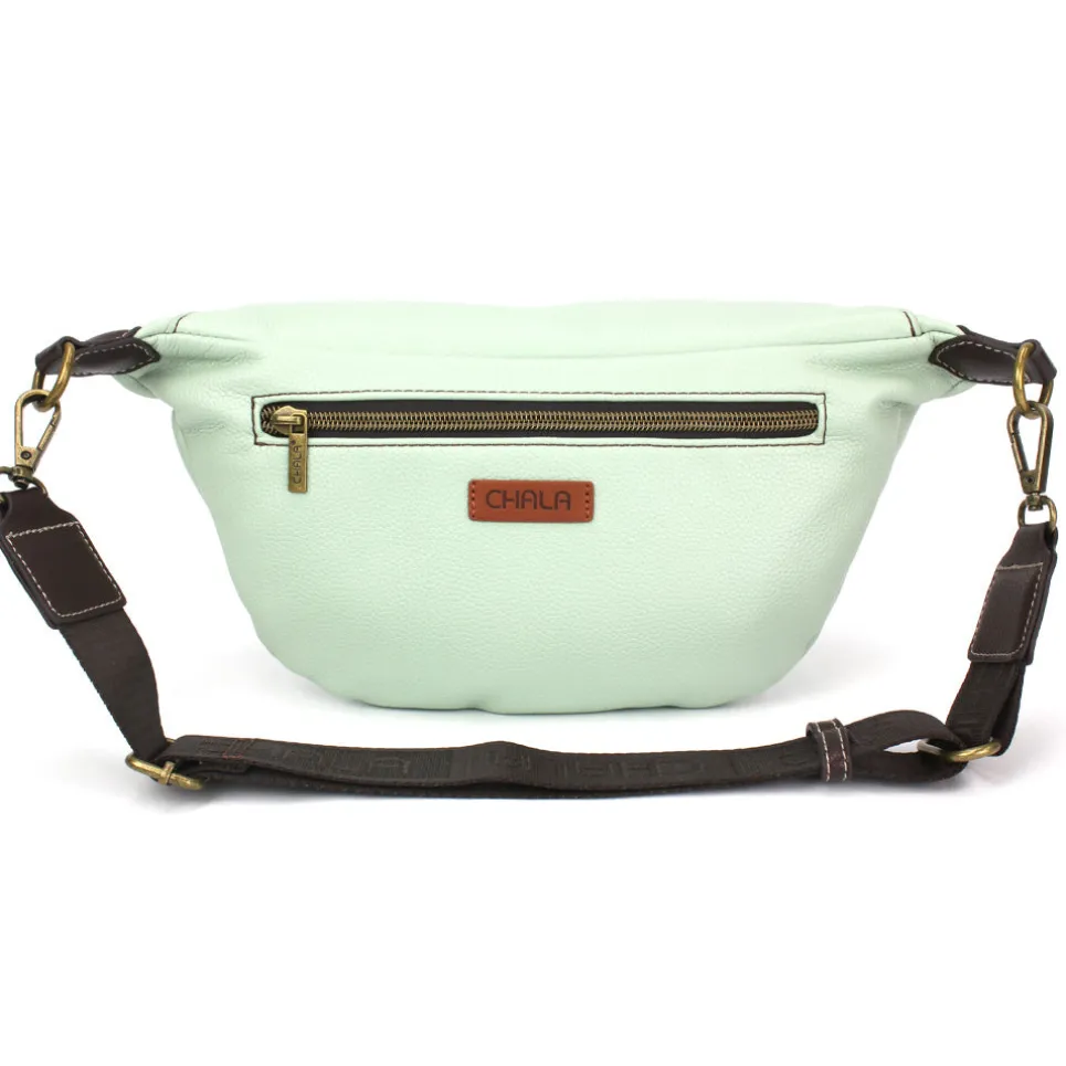 Fanny Pack - Turtles